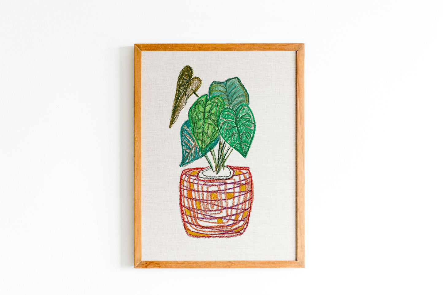 Succulents