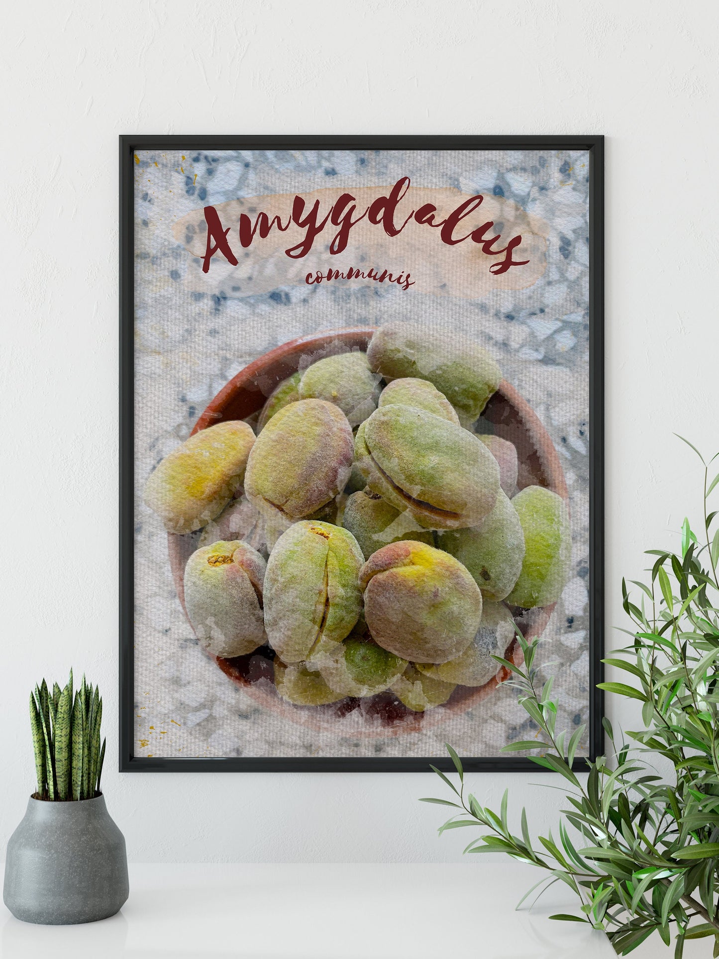 Sweet Almond Botanical Print